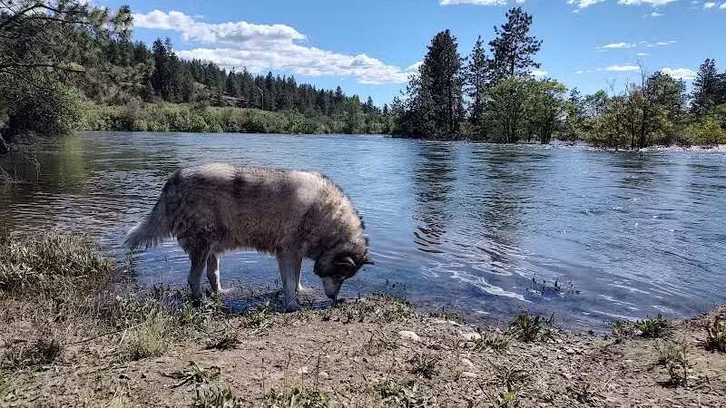 Gateway Regional Park - Otis Orchards, WA