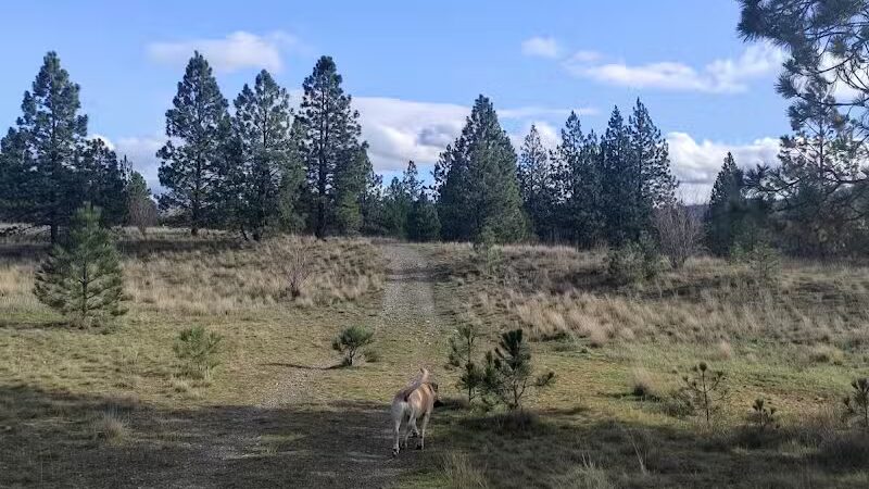 Gateway Regional Park - Otis Orchards, WA