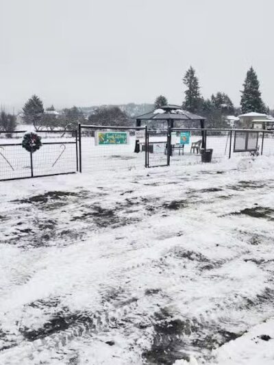 Speedy Tail Acres-Private Dog Park - Otis Orchards, WA