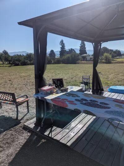 Speedy Tail Acres-Private Dog Park - Otis Orchards, WA