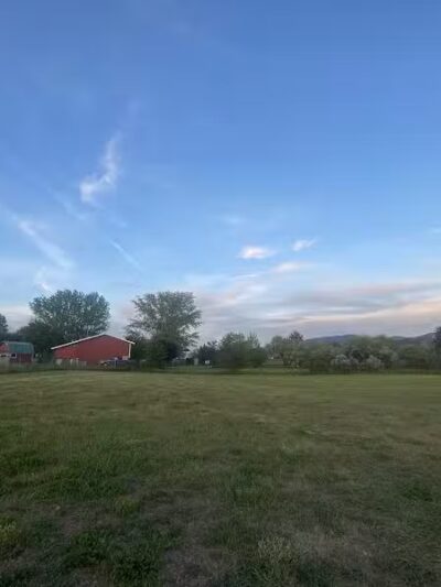 Speedy Tail Acres-Private Dog Park - Otis Orchards, WA