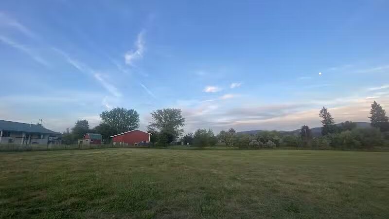 Speedy Tail Acres-Private Dog Park - Otis Orchards, WA