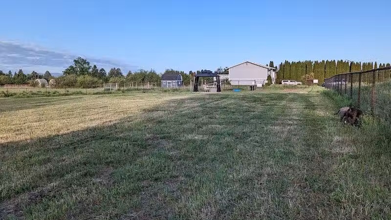 Speedy Tail Acres-Private Dog Park - Otis Orchards, WA