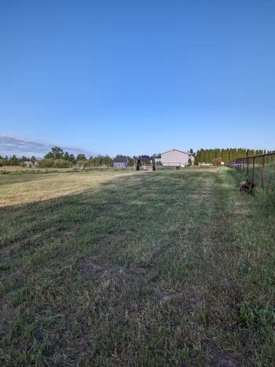 Speedy Tail Acres-Private Dog Park - Otis Orchards, WA