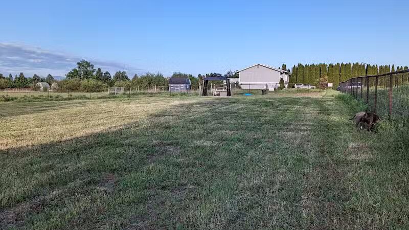 Speedy Tail Acres-Private Dog Park - Otis Orchards, WA