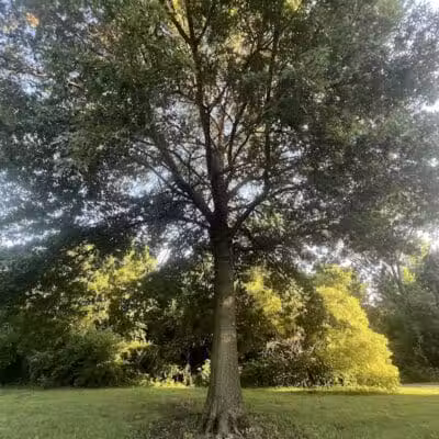 Brittany Park - Overland Park, KS