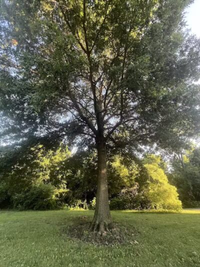 Brittany Park - Overland Park, KS