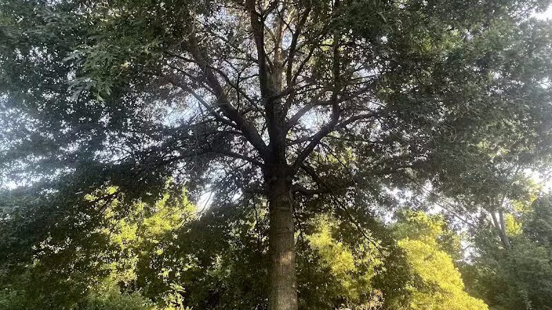 Brittany Park - Overland Park, KS