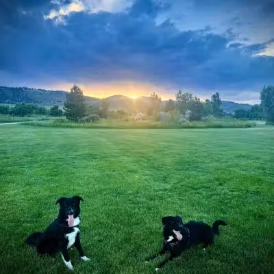 Brittany Park - Overland Park, KS