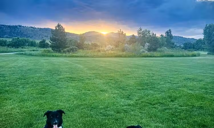 Brittany Park - Overland Park, KS