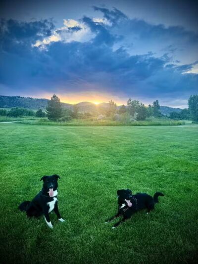 Brittany Park - Overland Park, KS