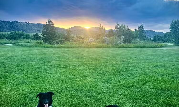 Brittany Park - Overland Park, KS