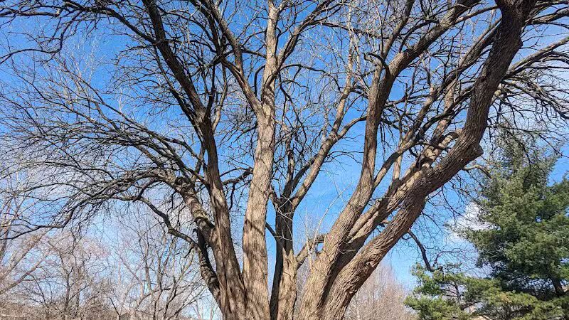 Brittany Park - Overland Park, KS