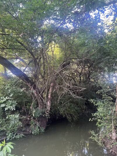 Brittany Park - Overland Park, KS