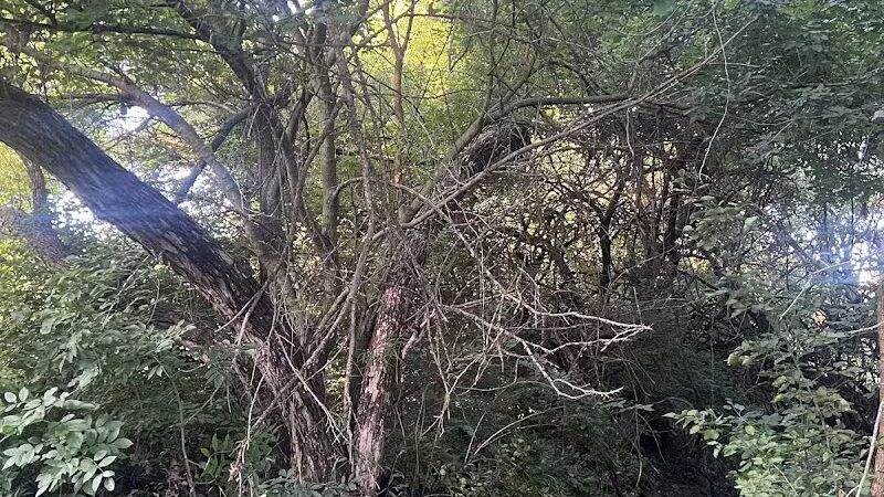 Brittany Park - Overland Park, KS