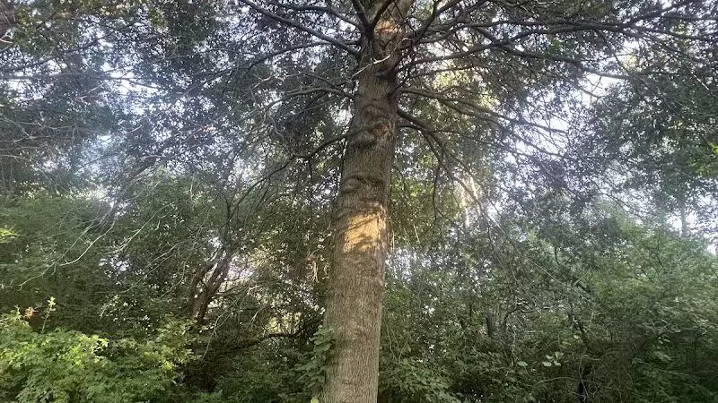 Brittany Park - Overland Park, KS