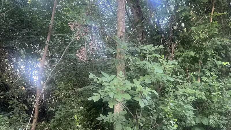 Brittany Park - Overland Park, KS