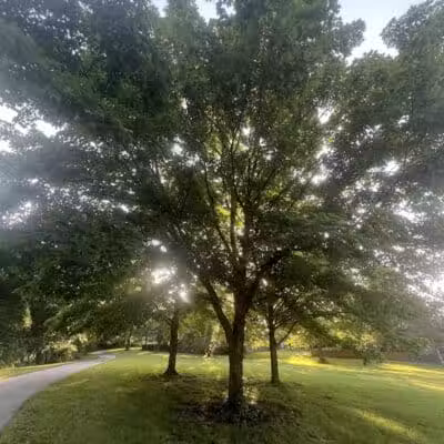 Brittany Park - Overland Park, KS