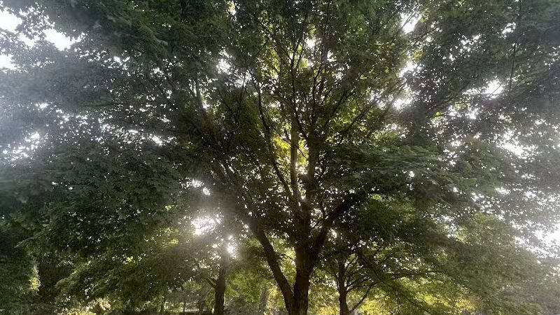 Brittany Park - Overland Park, KS