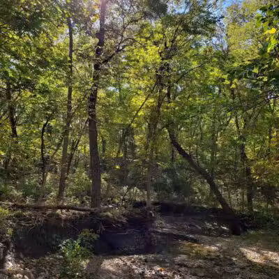 Creekside Park - Overland Park, KS