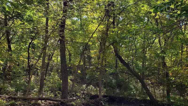 Creekside Park - Overland Park, KS