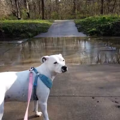 Creekside Park - Overland Park, KS