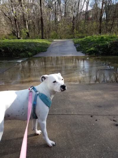 Creekside Park - Overland Park, KS