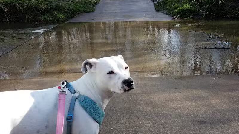 Creekside Park - Overland Park, KS
