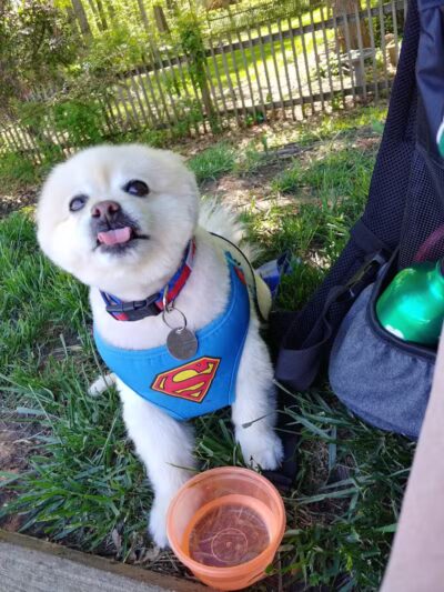 Creekside Park - Overland Park, KS