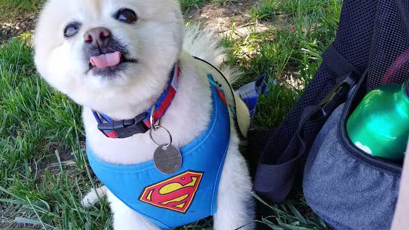 Creekside Park - Overland Park, KS