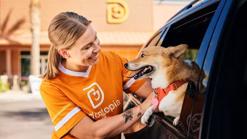 Dogtopia North Overland Park - Overland Park, KS