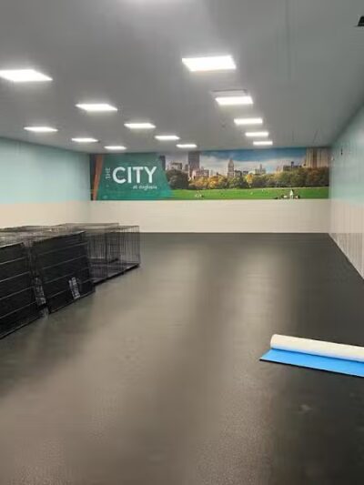 Dogtopia North Overland Park - Overland Park, KS