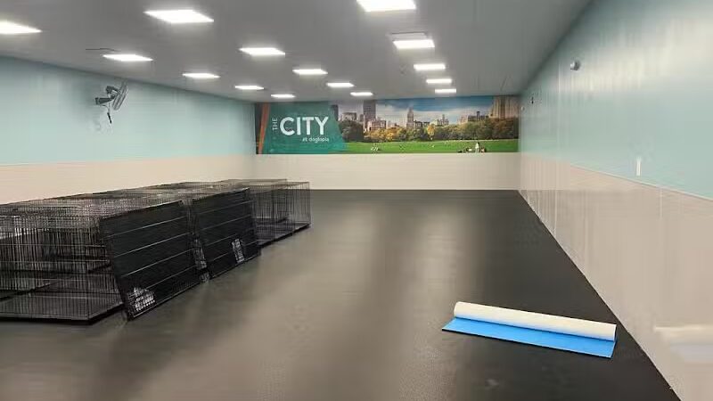 Dogtopia North Overland Park - Overland Park, KS