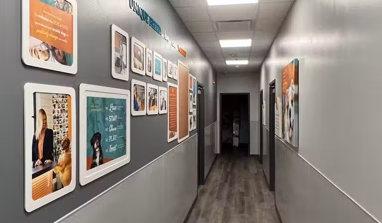 Dogtopia North Overland Park - Overland Park, KS