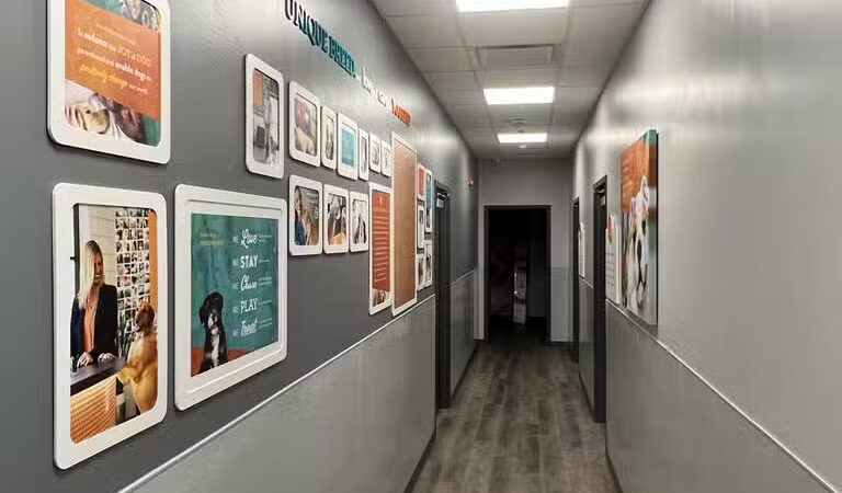 Dogtopia North Overland Park - Overland Park, KS