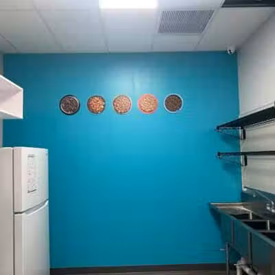 Dogtopia North Overland Park - Overland Park, KS