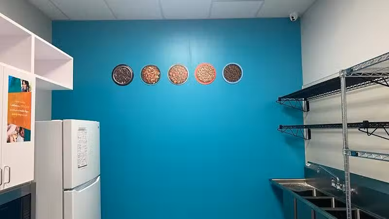 Dogtopia North Overland Park - Overland Park, KS