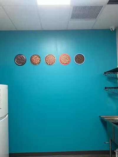 Dogtopia North Overland Park - Overland Park, KS