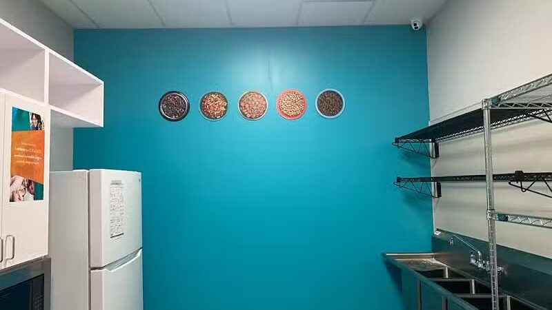 Dogtopia North Overland Park - Overland Park, KS