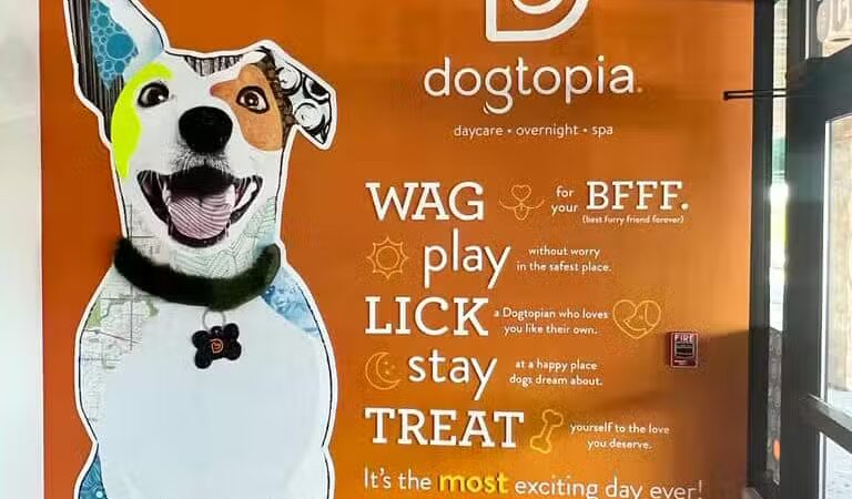 Dogtopia North Overland Park - Overland Park, KS