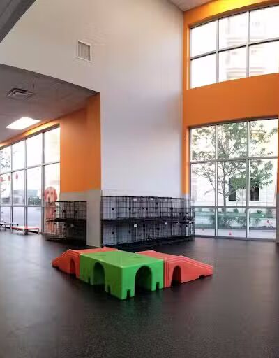 Dogtopia of Overland Park - Overland Park, KS