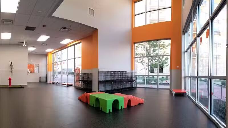 Dogtopia of Overland Park - Overland Park, KS