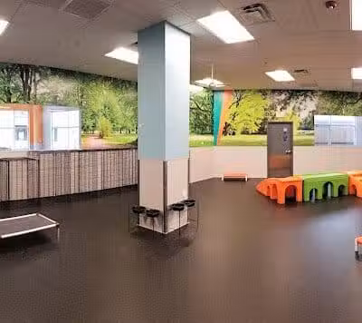 Dogtopia of Overland Park - Overland Park, KS