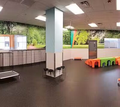 Dogtopia of Overland Park - Overland Park, KS