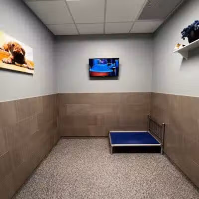 K9 Resorts Luxury Pet Hotel Overland Park - Overland Park, KS