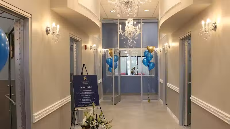 K9 Resorts Luxury Pet Hotel Overland Park - Overland Park, KS