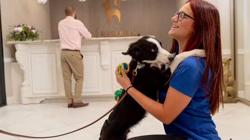 K9 Resorts Luxury Pet Hotel Overland Park - Overland Park, KS