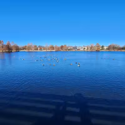 Kingston Lake Park - Overland Park, KS
