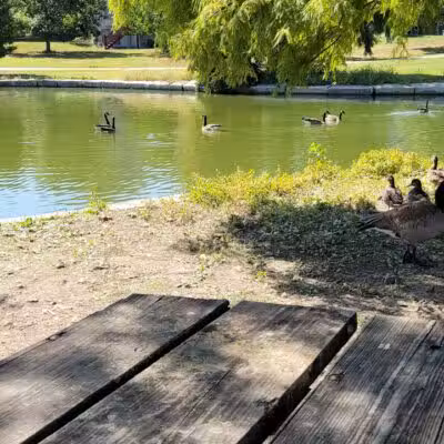 Kingston Lake Park - Overland Park, KS
