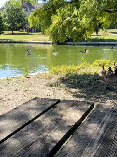 Kingston Lake Park - Overland Park, KS
